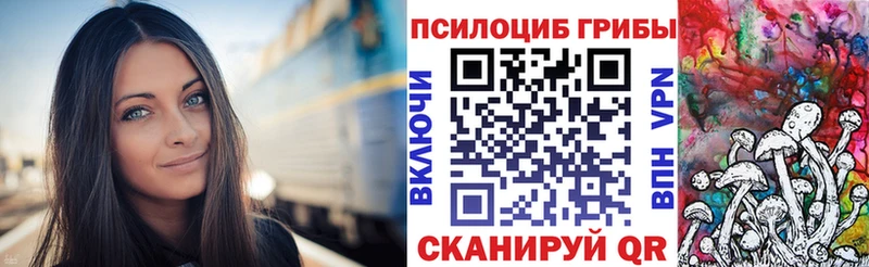 Галлюциногенные грибы мицелий  гидра   Динская 